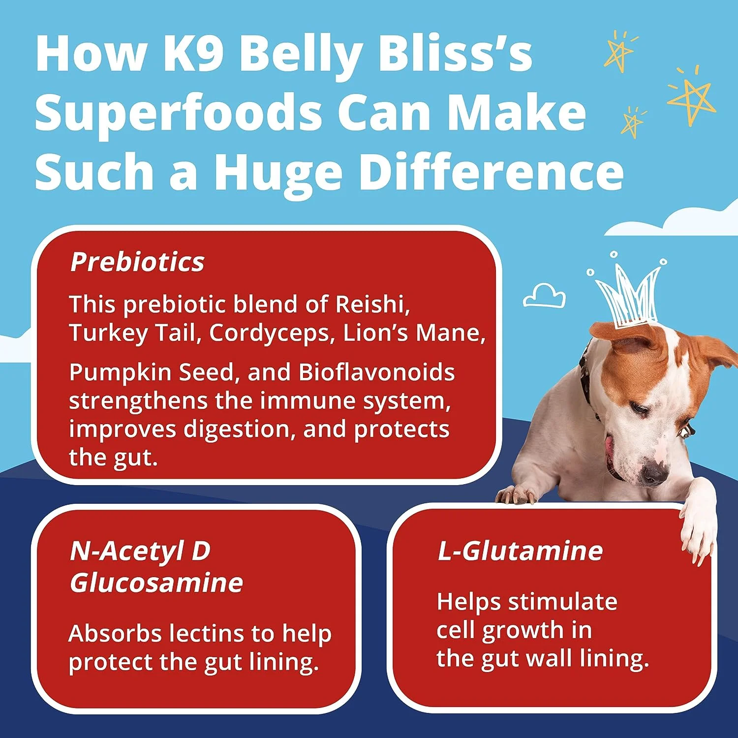 K9 Belly Bliss - Image 3