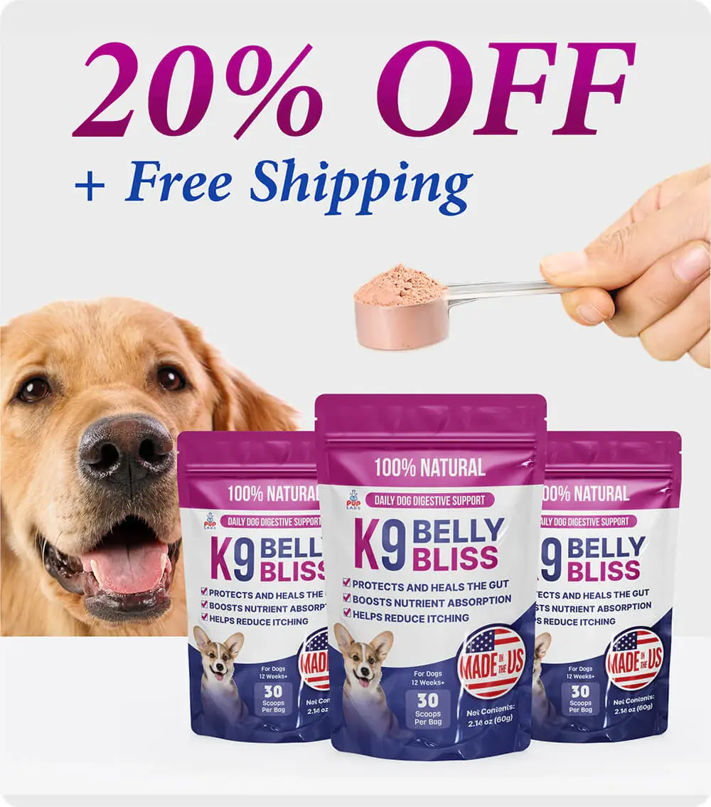 K9 Belly Bliss - Image 5