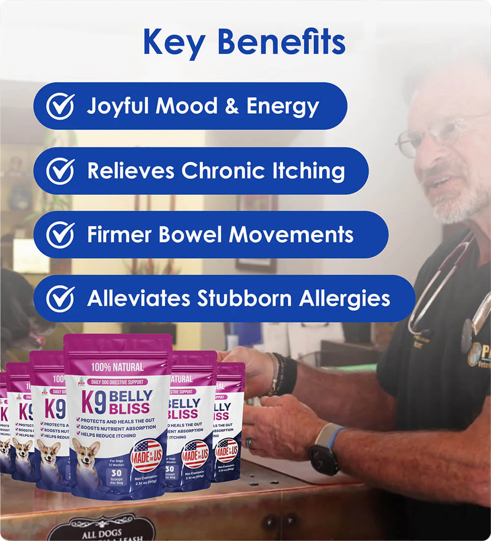 K9 Belly Bliss - Image 6