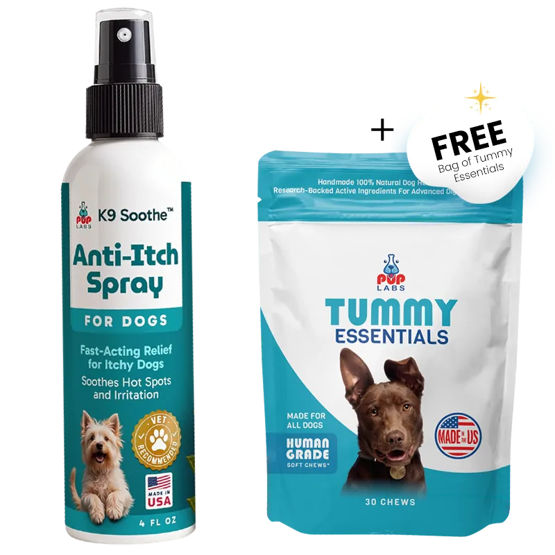 K9 Soothe + Tummy Essentials Bundle