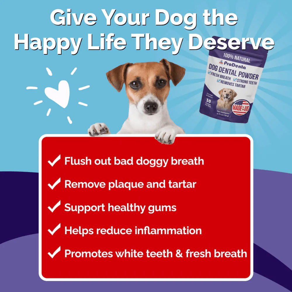 ProDenta by PupLabs™ - Advanced Dental Health Formula for Dogs - Image 3