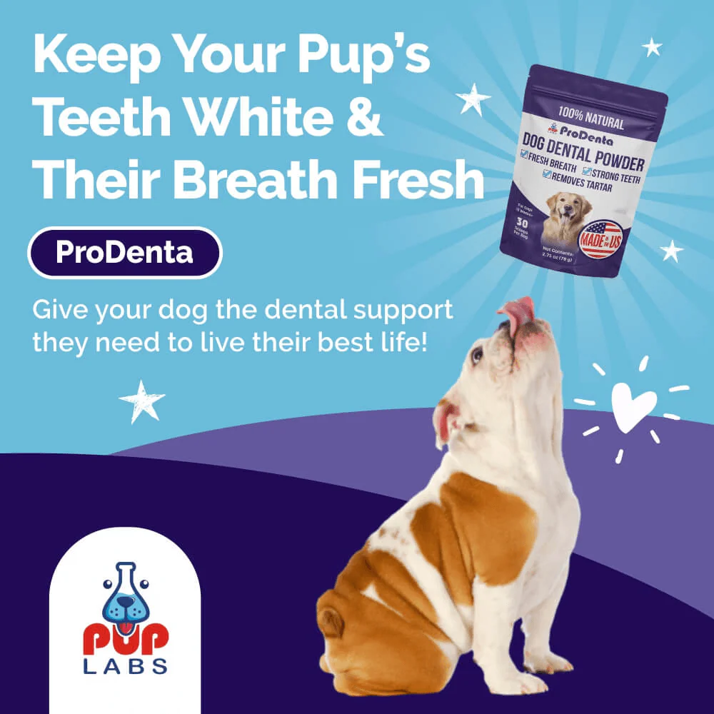 ProDenta by PupLabs™ - Advanced Dental Health Formula for Dogs - Image 4
