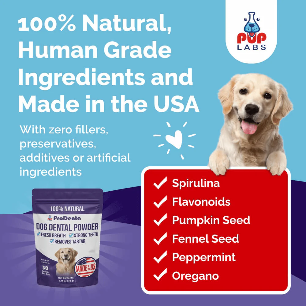ProDenta by PupLabs™ - Advanced Dental Health Formula for Dogs - Image 5
