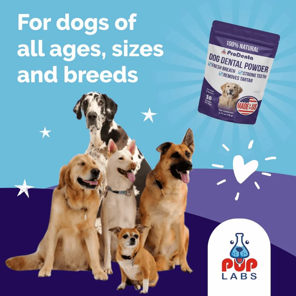 ProDenta by PupLabs™ - Advanced Dental Health Formula for Dogs - Image 6