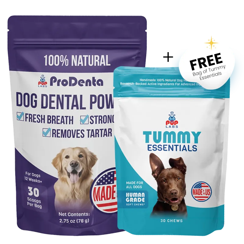 Prodenta + Tummy Essentials Bundle